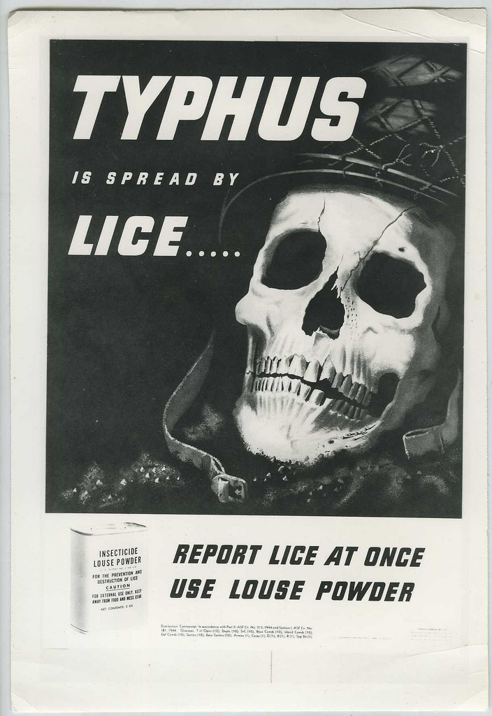 Typhus Poster